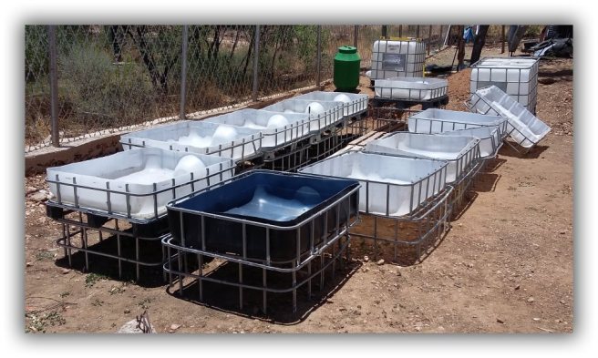 Aquaponics_4 Dec 2015