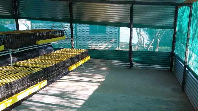 Broiler House_2_170527_155155