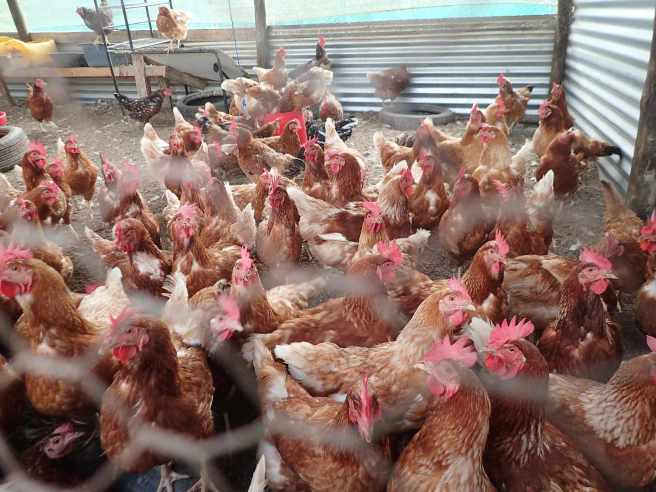 Layers Group Shot_160226_P2260011