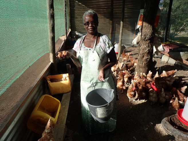 Liina collecting eggs_170315_P3150015